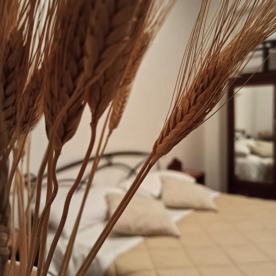 B&B La Masseria Del '700 Castiglione a Casauria Exteriér fotografie